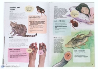 Fakt hustá zvířata - Claire Almon Fakt hustá zvířata - Claire Almon